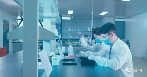 南明这家医疗企业不得了,收购美国公司,产品畅销全国