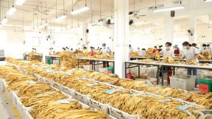 宁远县:“三举措”破除农村集体经济发展瓶颈