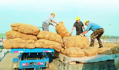 山东烟区:收购规范有序 烟叶以质取胜