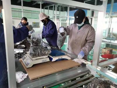 《那山那水我代言》龙头企业助力乡村振兴