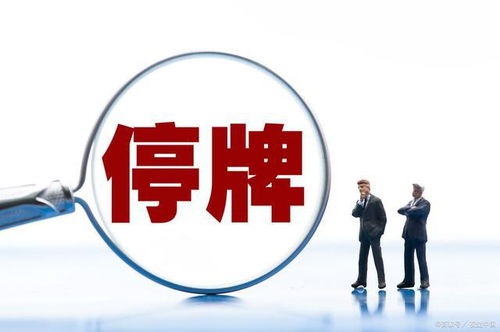 突然公告 五家公司吸收合并 停牌 重组等重要消息 1.13