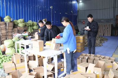 惠水:预热“双十一” 佛手瓜受青睐