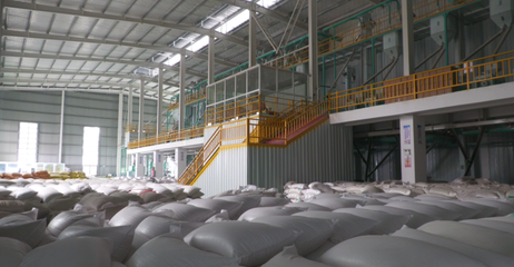 安陆:“小米粒”成就大产业