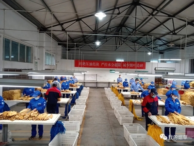 湖北竹山县烟叶分公司切实做好烟叶收购现场管理