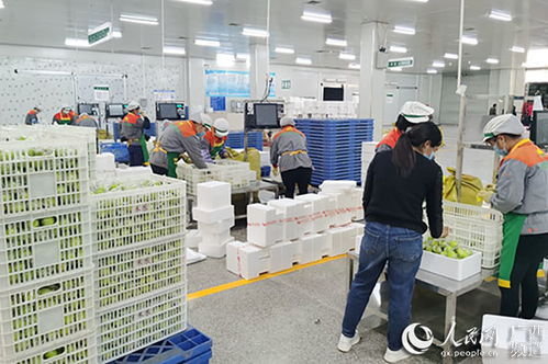 广西金融投资集团助力中小微企业渡难关