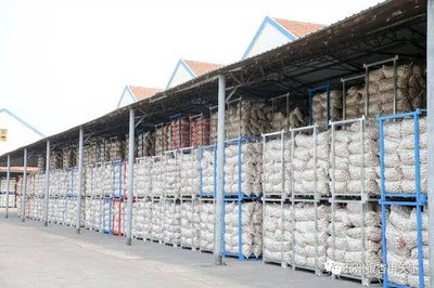 一棵树、一块板、一头蒜,邳州现代农业这篇文章大有所为-财经频道-手机