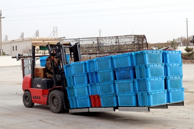 张掖市人民政府