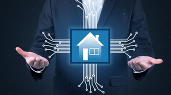 公司与个人授权委托书