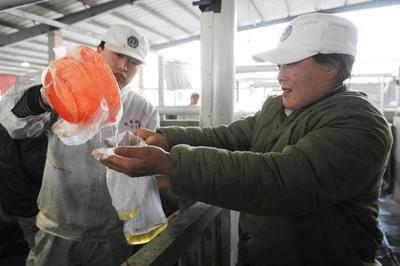 双汇涉“瘦肉精”产品下架 工厂停产自查(组图)