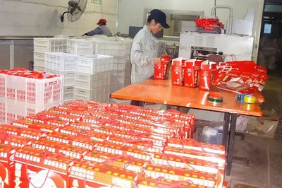 首批省示范！沛县这5家农业产业化联合体表现抢眼，资金证明助力发展