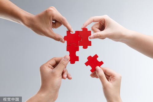 国泰君安2023年业绩回顾 营收净利双降下的稳健分红与代理记账业务展望