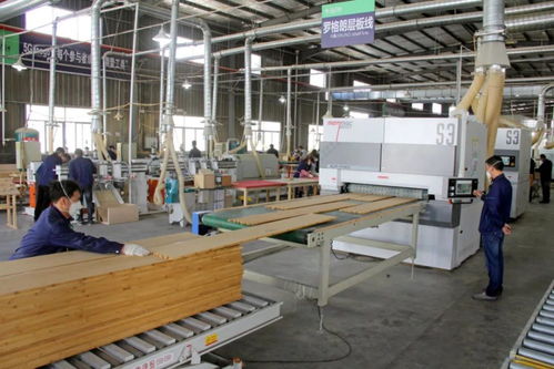 邵武 一笔大额资金的民生账本与高质量发展探索