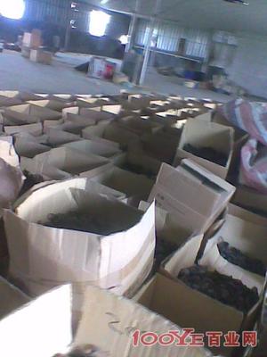 惠州专业二手设备回收 高价收购，信誉保障